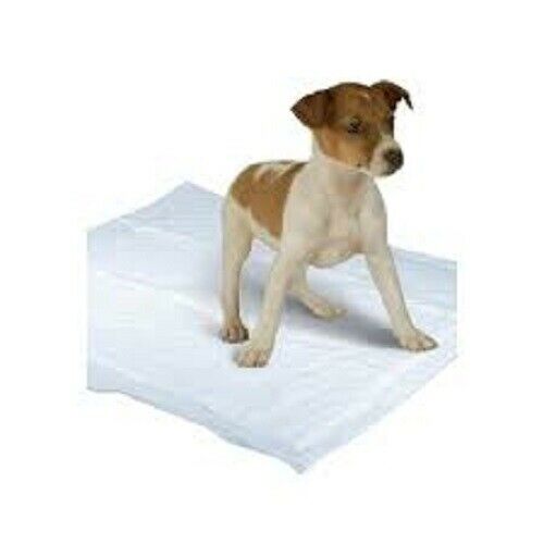 RMOVE 50 traversine cani 60x60 cm tappetini igienici per cani extra  assorbenti traversine con rivestimento antiodore, traverse cane, tappetino  traversina impermeabile (60x60 (Confezione da 50)) : : Prodotti  per animali domestici
